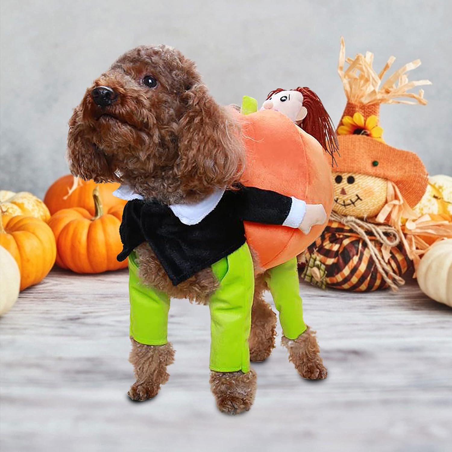 Disfraz de calabaza de Halloween para perro y gato, divertidos disfraces de Halloween para gatos y perros pequeños, disfraz de mascota, perro, gato,