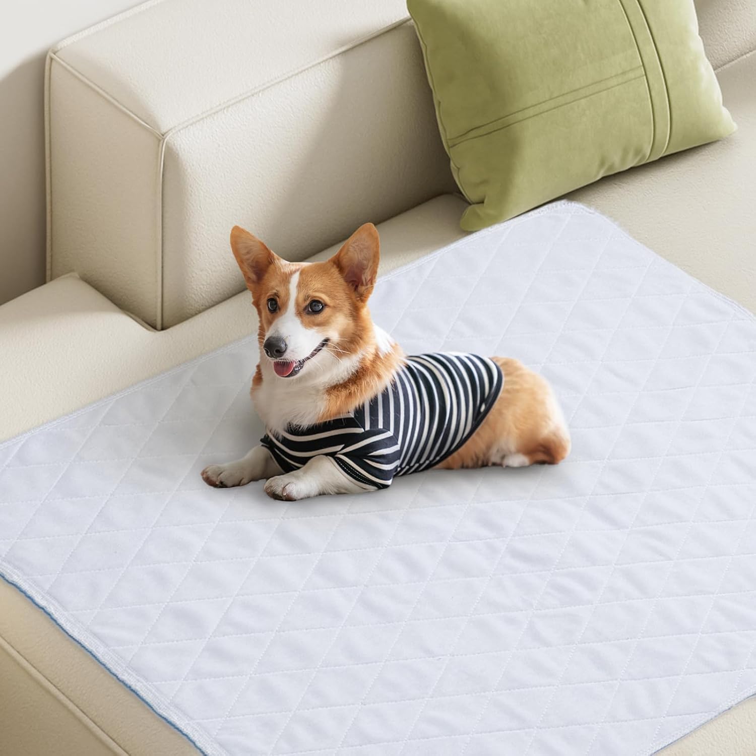 Almohadillas lavables para orina de perro para entrenamiento de orinal de 65 x 48 pulgadas, paquete de 1 unidad, almohadillas impermeables y