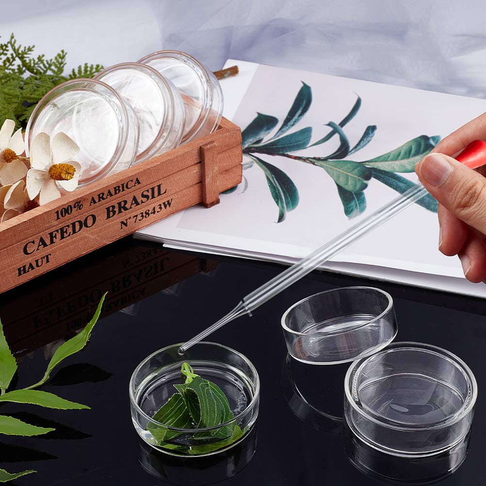 OLYCRAFT Platos de vidrio Petri de vidrio de borosilicato de alto vidrio de borosilicato con tapa de 2.362 in de diámetro x 0.709 in de profundidad
