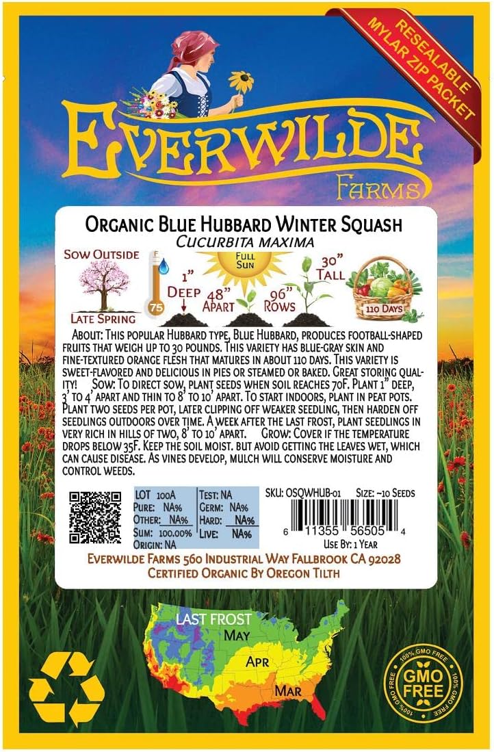 Everwilde Farms – 10 semillas de calabaza de invierno Hubbard azul orgánico – Paquete Gold Vault