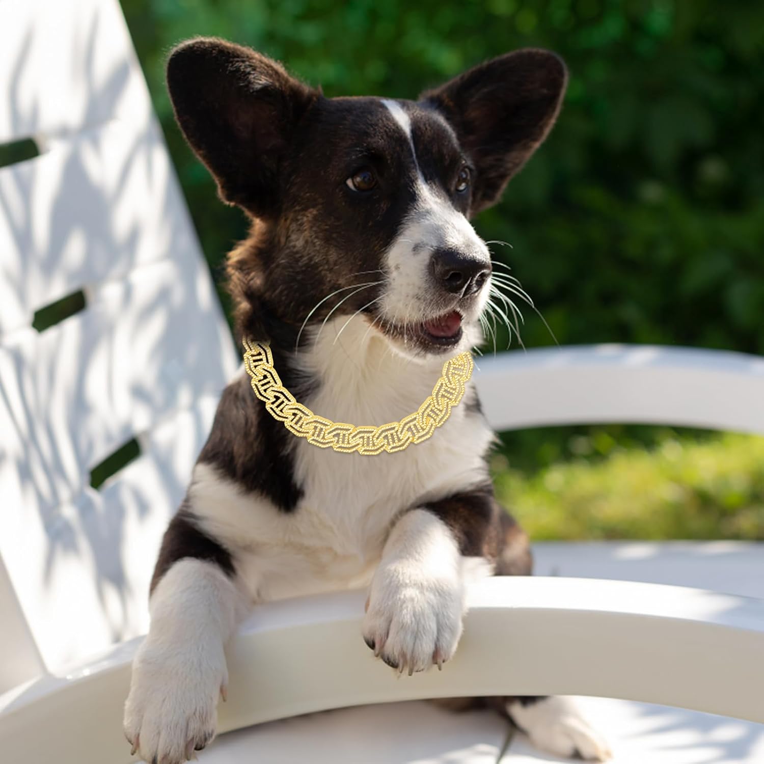 Collar de perro con diamantes con purpurina, collar de metal dorado con diseño de hebilla segura, accesorios de joyería para mascotas, para perros
