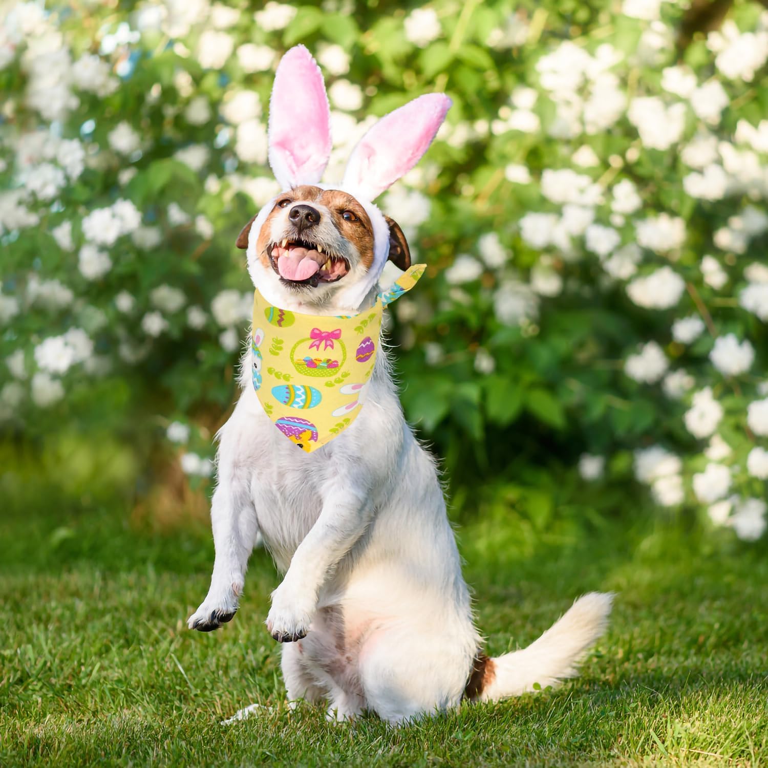 2 pañuelos de Pascua para perro, bufanda colorida de Pascua para perro, cómoda y bonita, conejo, elementos de conejo, bandana para mascotas,
