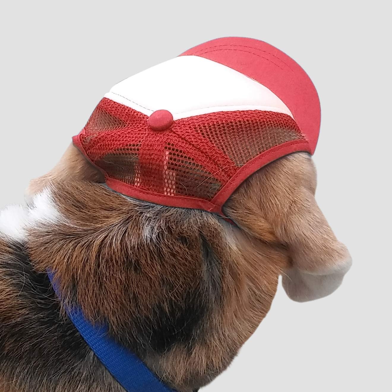 PupLid Sombreros de camionero para perros (pequeños), protección solar elegante de alta calidad para el perro moderno, ajustables para un ajuste