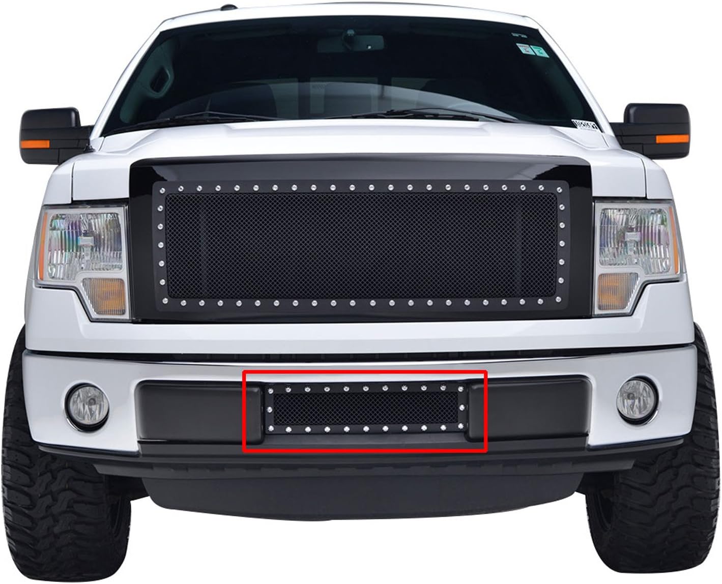 Automotive 46-0744 Rejilla de parachoques de malla de alambre de acero inoxidable negro (Ford F-150 Evolution)
