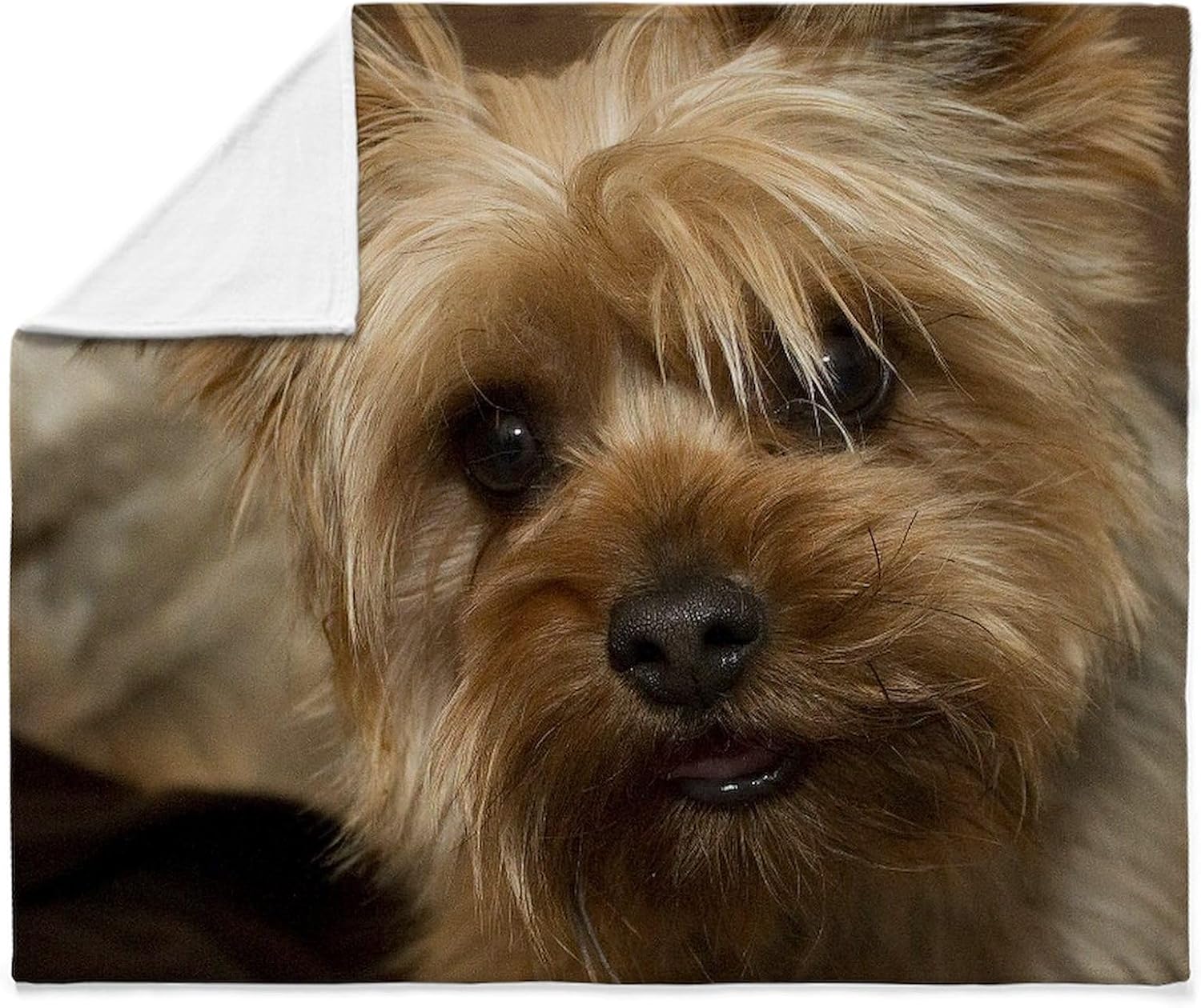 CafePress Yorkie – Manta de forro polar supersuave para cachorros, 60 x 50 pulgadas