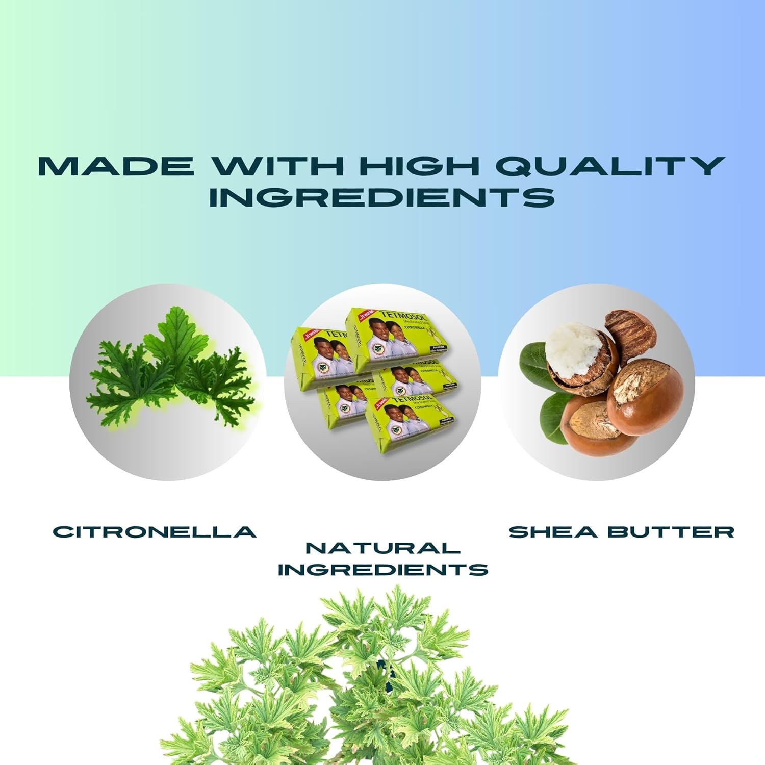 Tetmosol Jabón Medicado con Citronela Pack (5)