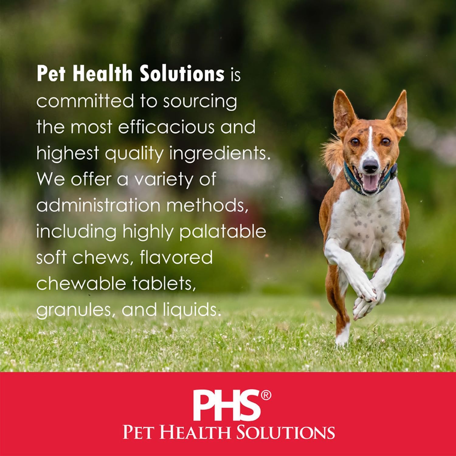 Probióticos Proflora para perros salud intestinal completa y apoyo inmunológico. Probióticos digestivos de múltiples cepas fáciles de usar.