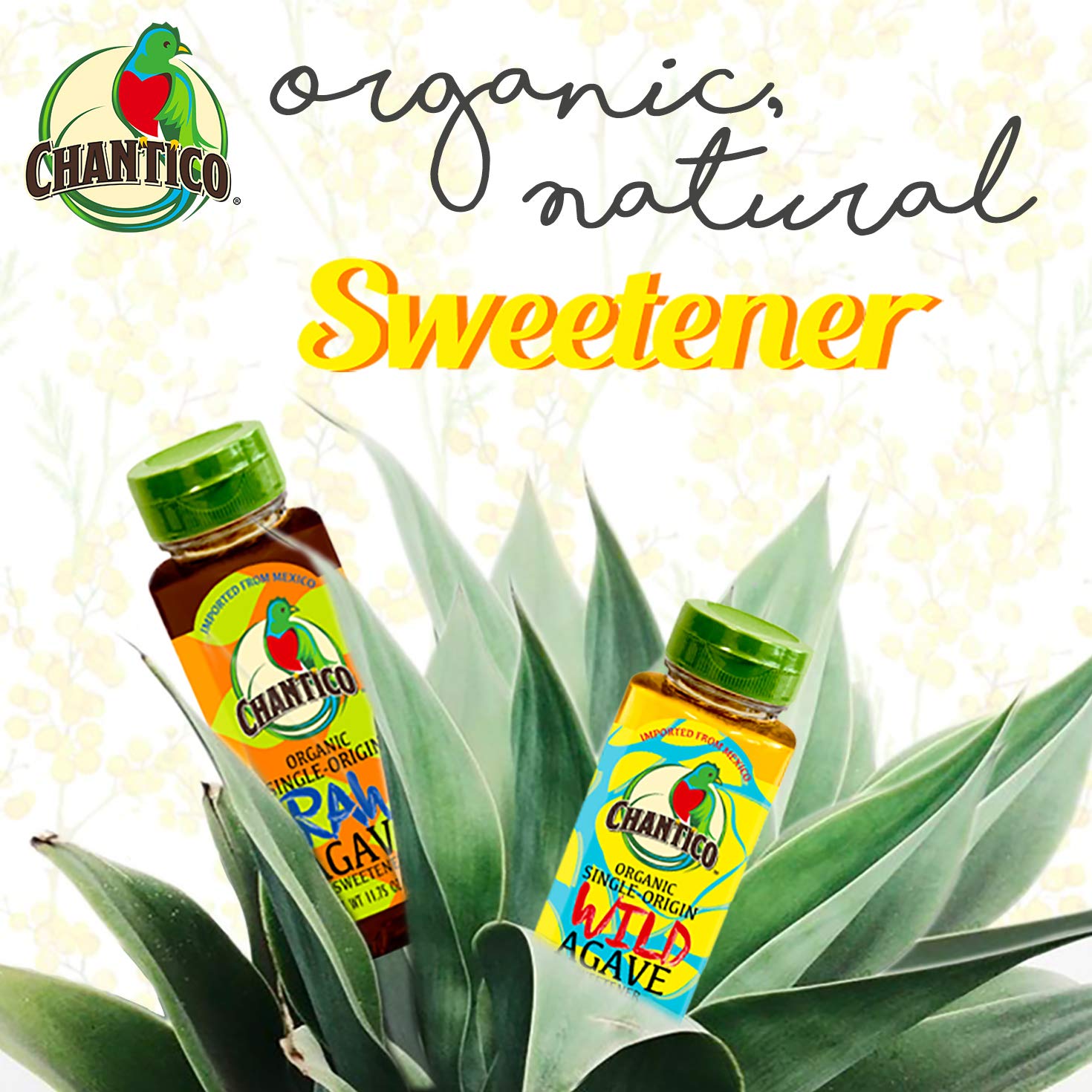 Chantico Edulcorante de agave (paquete variado, 1 botella de cada sabor), sustituto de azúcar natural orgánico con un sabor alimenticio premium,