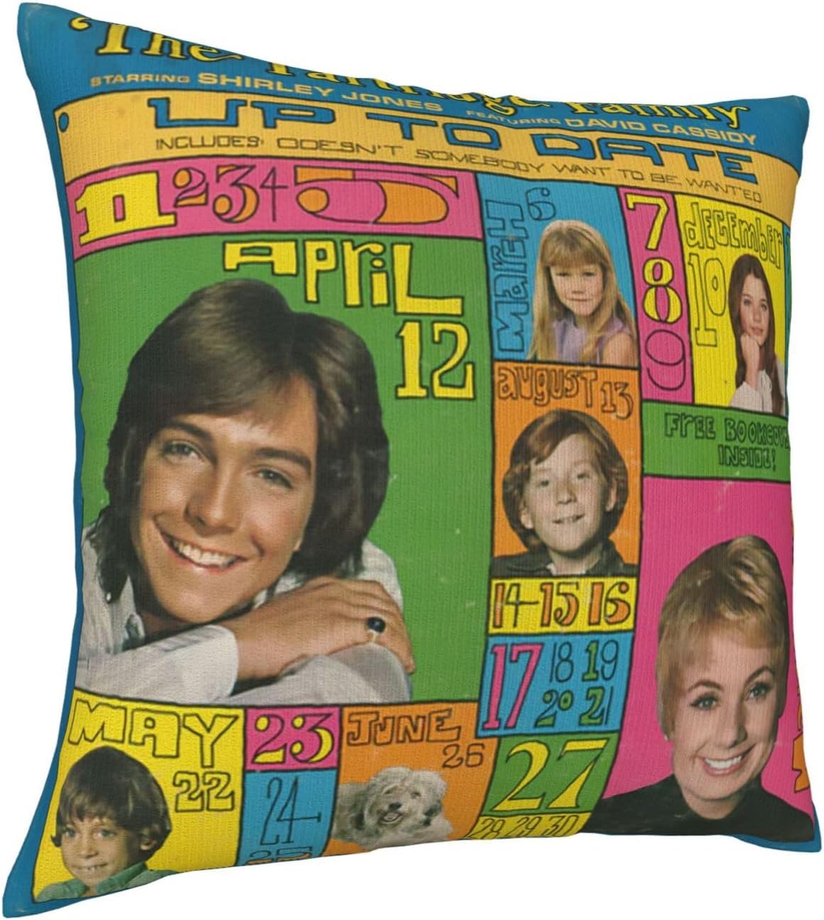 David Actor Cassidy – Fundas de almohada de 18 x 18 pulgadas, funda de almohada para exteriores para decoración de sofá