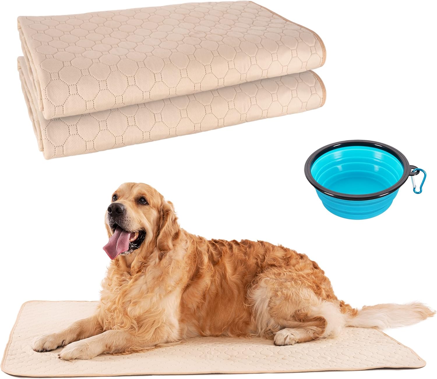 Flurrly – Almohadillas reutilizables para orina para perros, paquete de 2 unidades de 48 x 48 pulgadas + cuenco de agua plegable gratis,