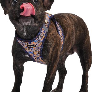 AMTOR Arnés para perro con juego de correa, arnés reflectante ajustable sin tirones para cachorros con chaleco acolchado para perros y gatos AMTOR Arnés para perro con juego de correa, arnés reflectante ajustable sin tirones para cachorros con chaleco acolchado para perros y gatos