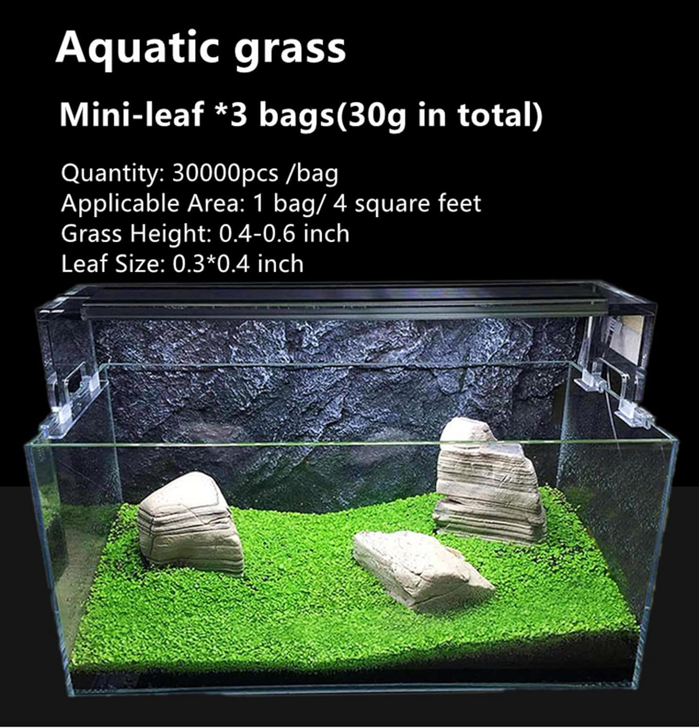 Planta de acuario viva, hierba de agua con semillas, 1 onza de agua dulce acuática, mini hoja de perla pequeña para pecera, terrario, alfombra enana
