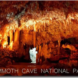 Imán para nevera Kentucky, Mammoth Cave National Park, tamaño 2.5″ x 3.5″ Imán para nevera Kentucky, Mammoth Cave National Park, tamaño 2.5″ x 3.5″