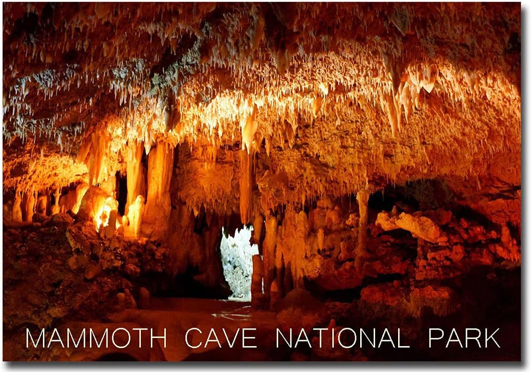 Imán para nevera Kentucky, Mammoth Cave National Park, tamaño 2.5″ x 3.5″