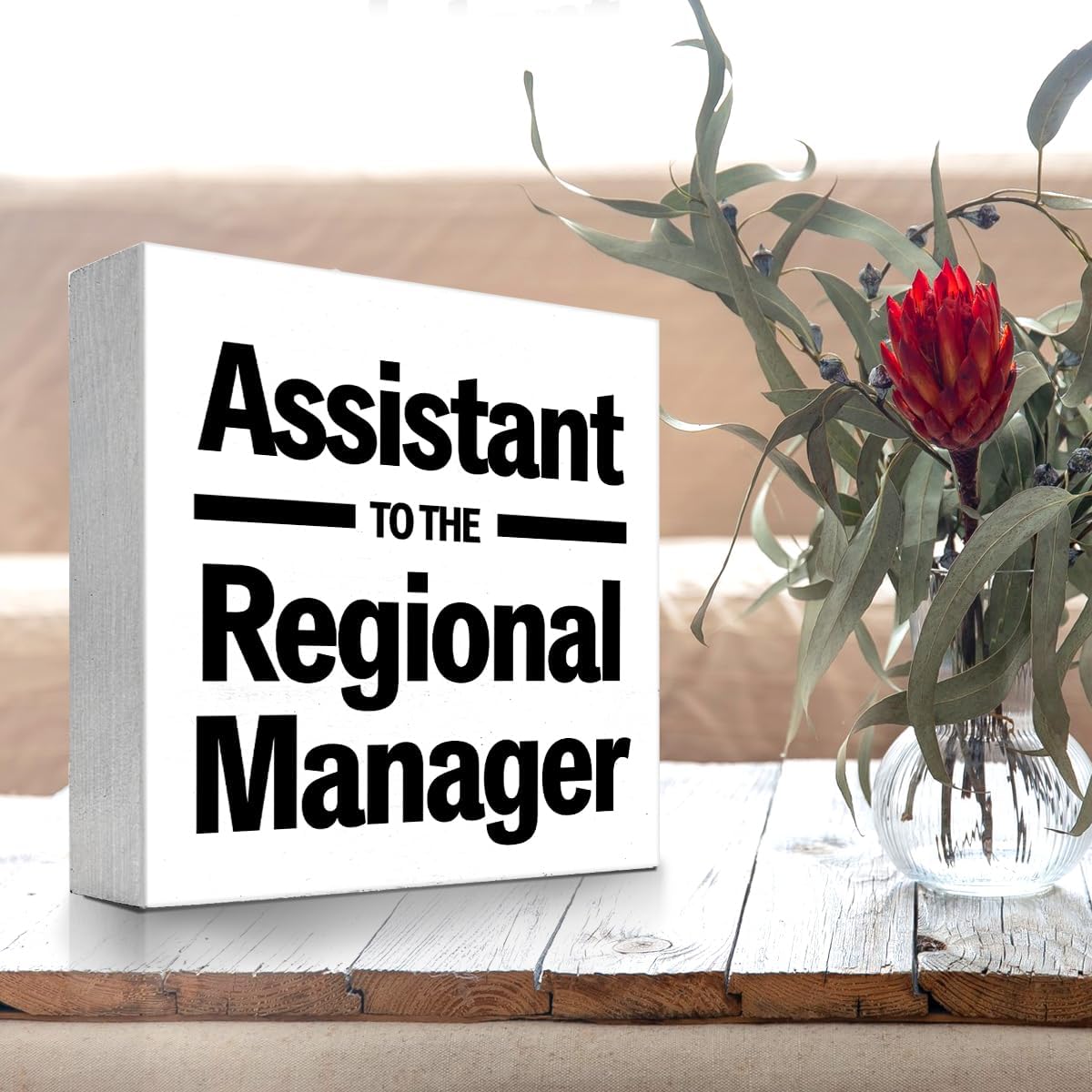Letrero de madera con texto en inglés “Assistance to the Regional Manager” para decoración de escritorio, divertido humor, caja de madera, placa,