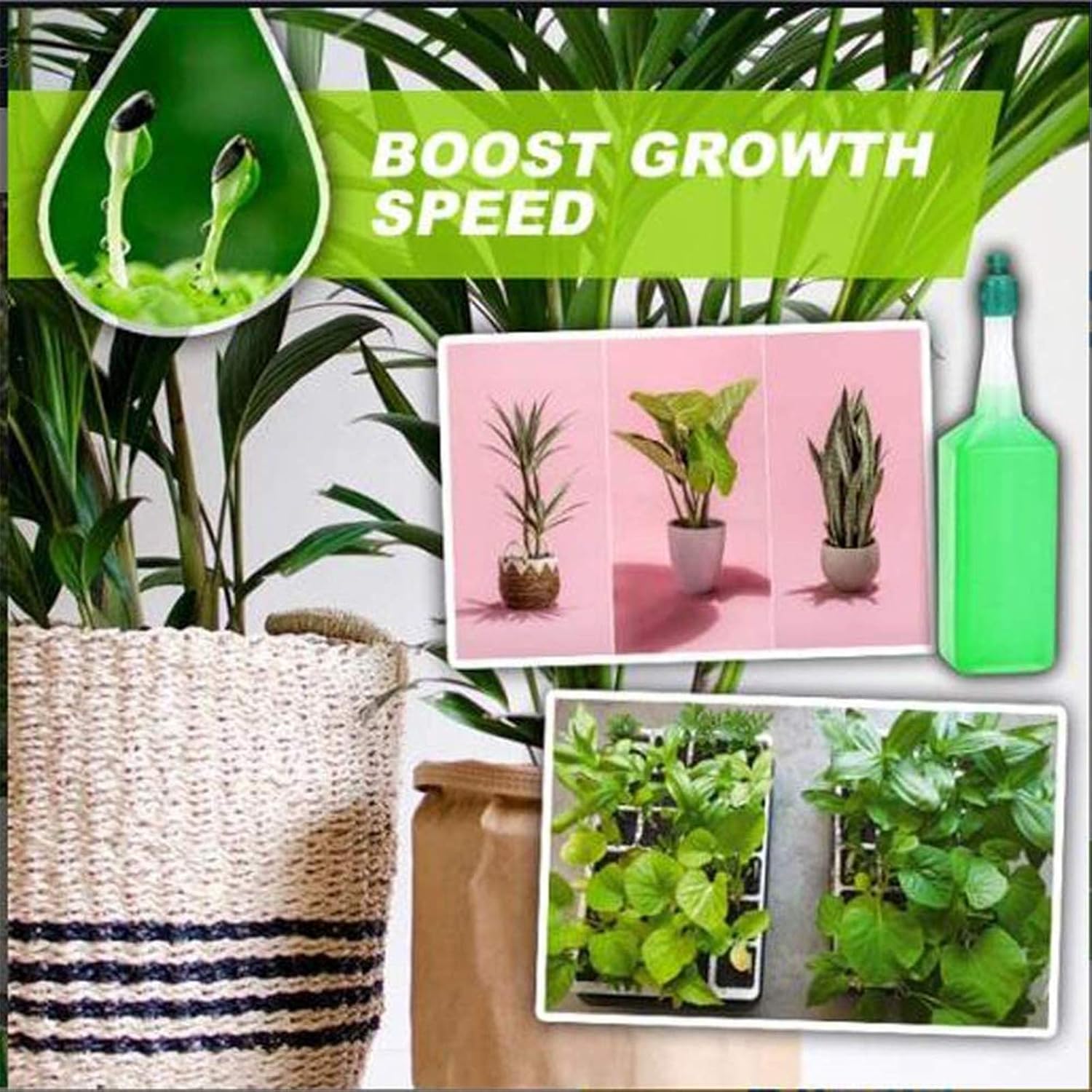 Fertilizante líquido hidropónico, fertilizante líquido para plantas, solución nutritiva hidropónica para plantas, para promover la absorción de la