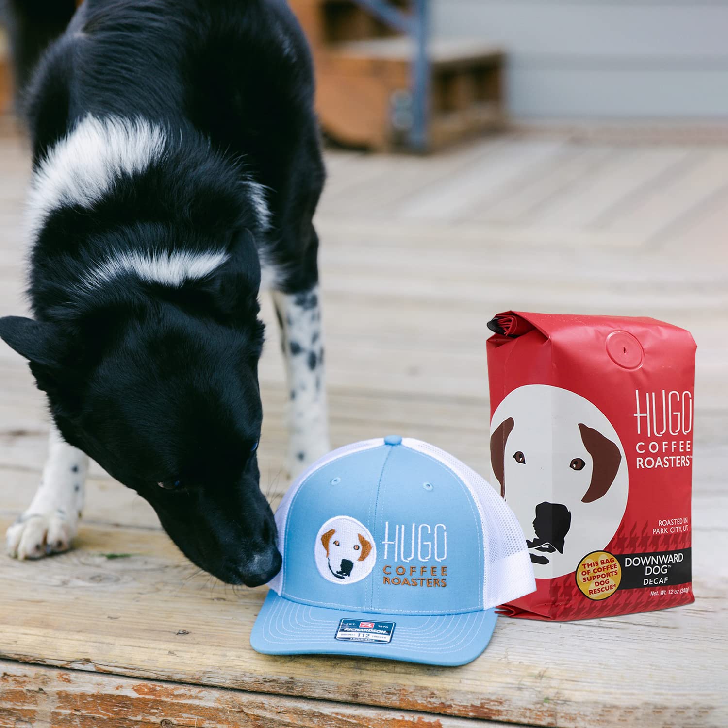 Hugo Coffee – Café descafeinado para perros con sabor orgánico almizclado, pan con plátano, sabores de caramelo y cacao, Hugo apoya los rescates de
