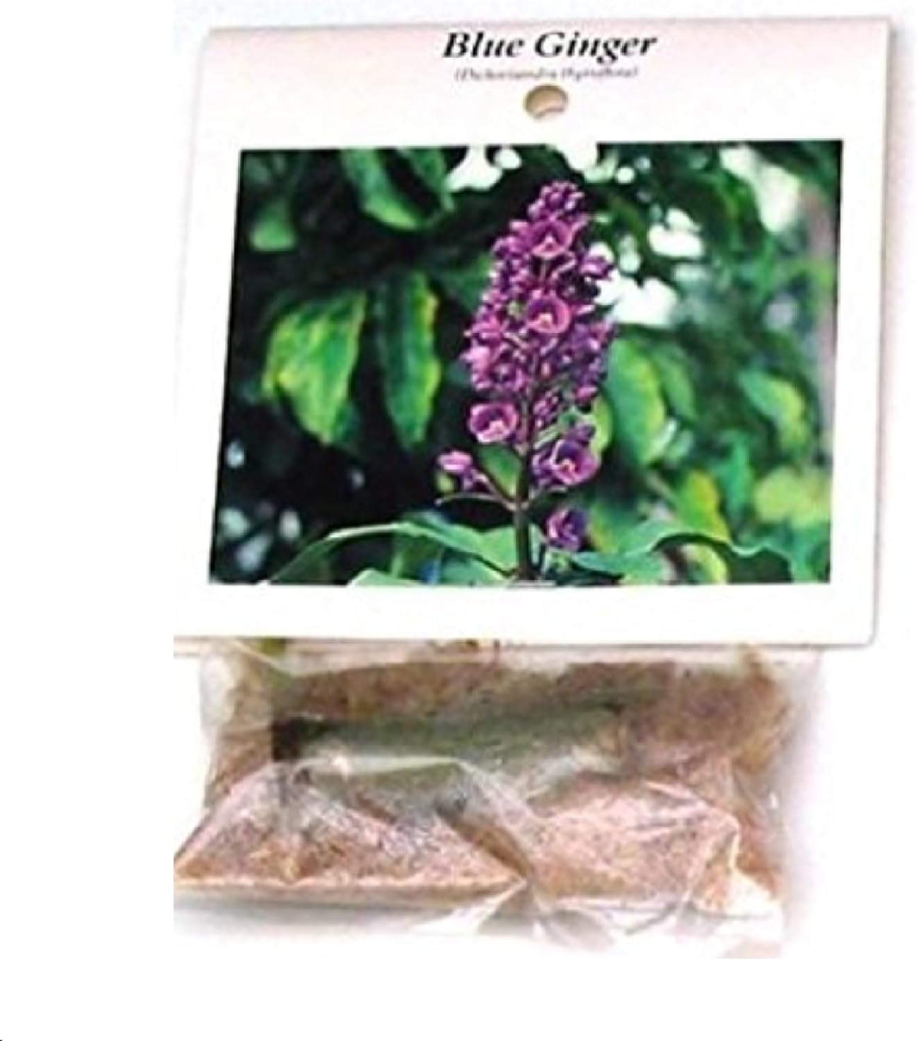 Blue Hawaiian Ginger plant Root
