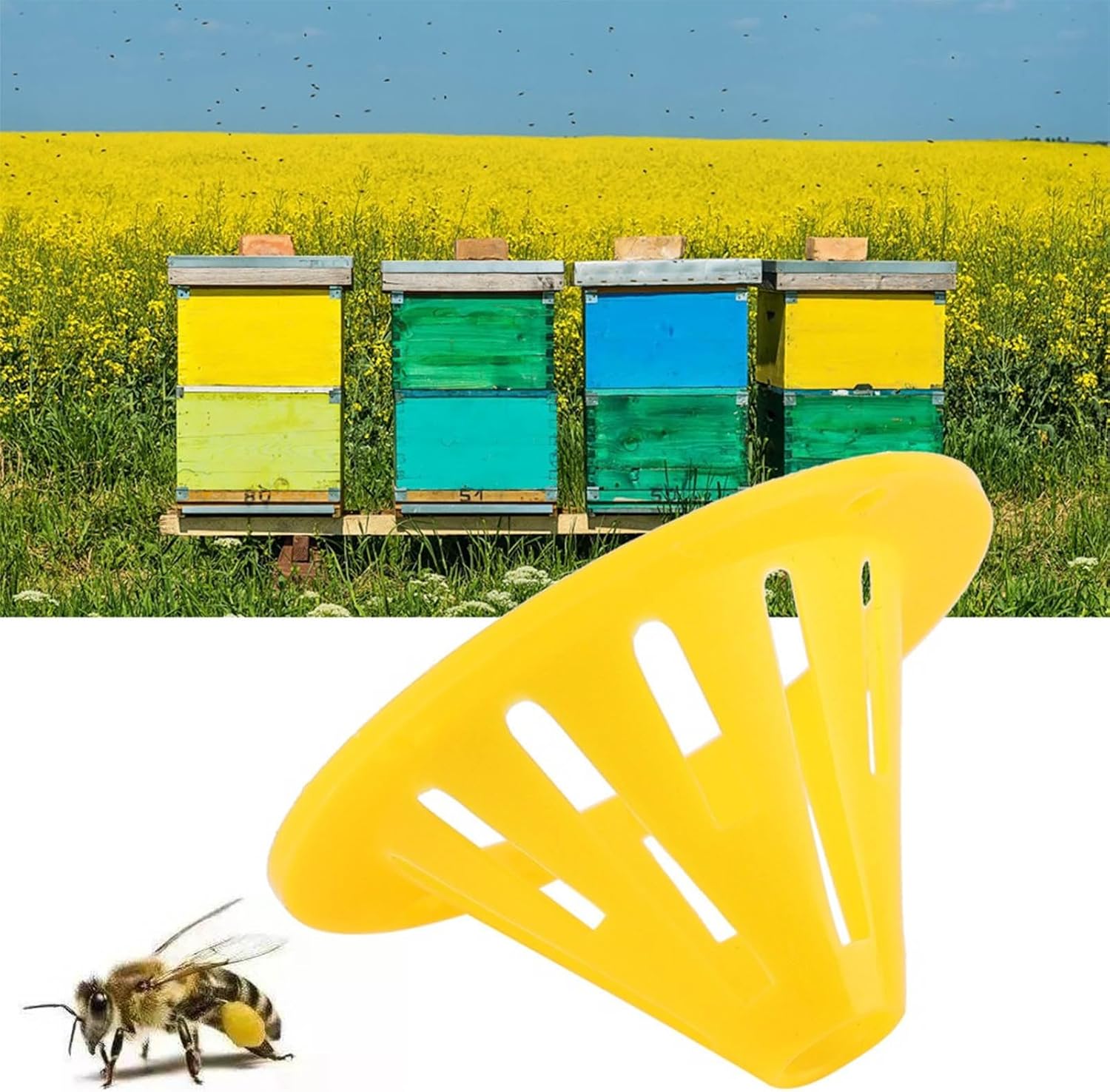 TOPINCN 20 Pcs Beehive Entrance Exit Cone Gate Beekeeping Hive Export Escaper Accessories Tools Plastic Pack Gate Door Hive Beehive Packing Tools