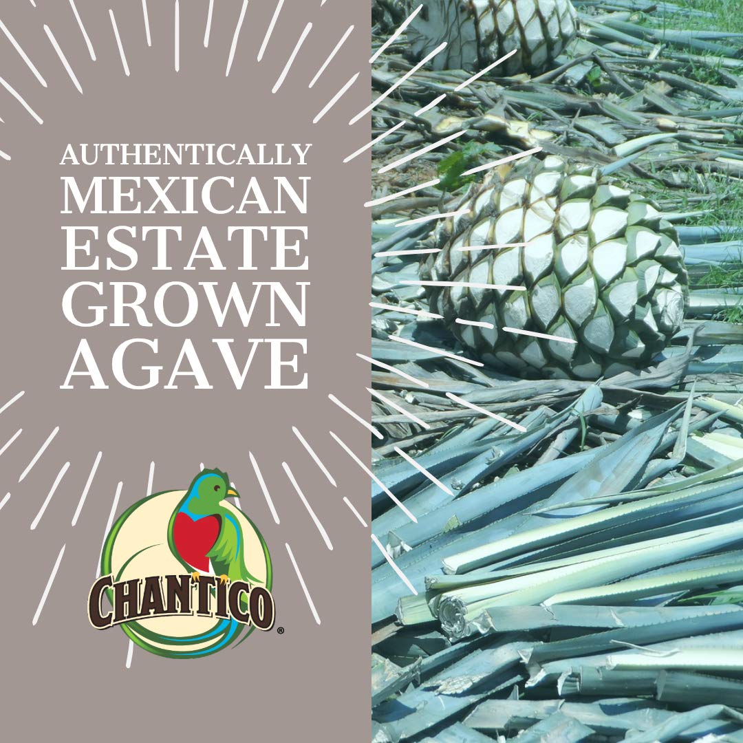 Chantico Edulcorante de agave (paquete variado, 1 botella de cada sabor), sustituto de azúcar natural orgánico con un sabor alimenticio premium,