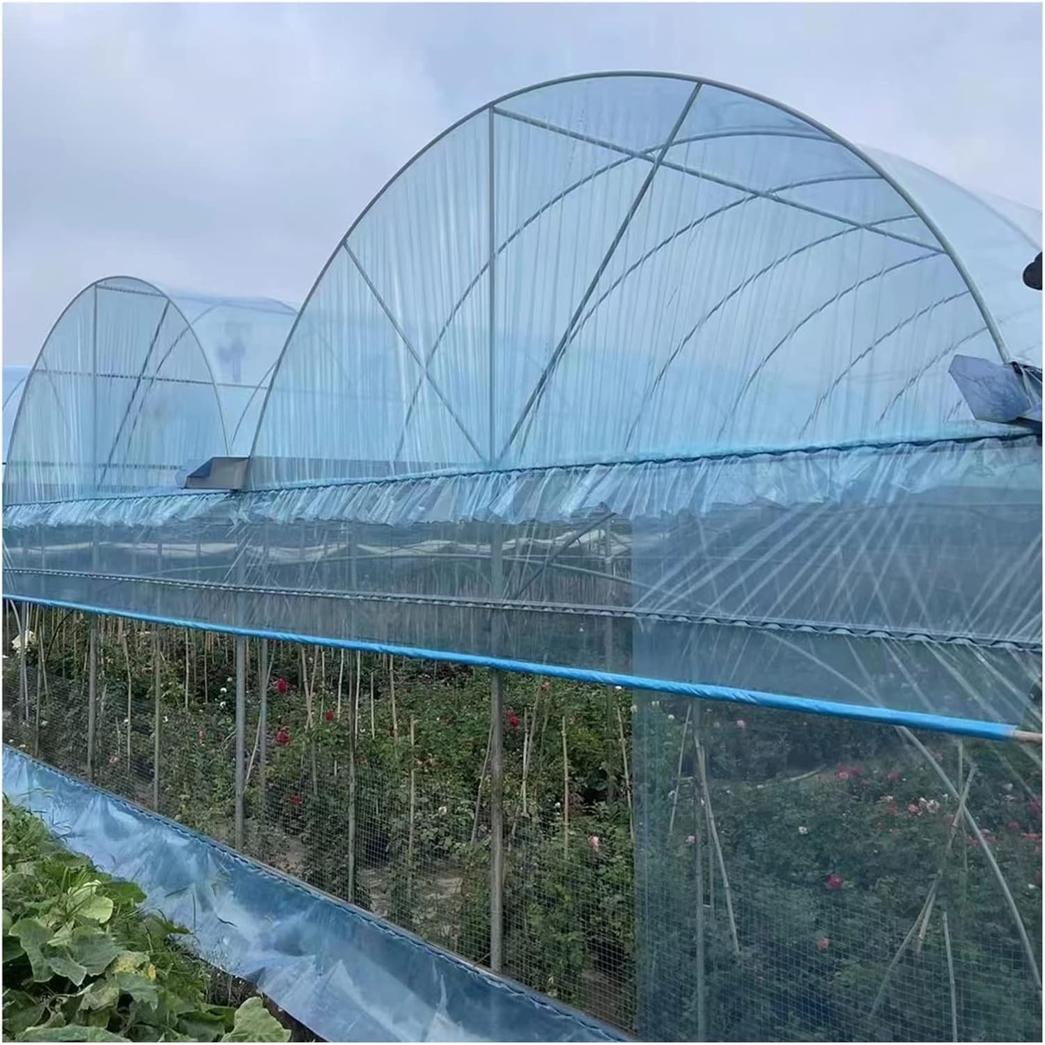 Película de plástico para invernadero, cubierta de planta de suministro de aro para jardinería, agricultura, agricultura, fácil de instalar, láminas