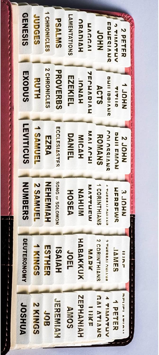 Pestañas de cuero para la Biblia, pestañas de la Biblia para mujeres y hombres, pestañas de la Biblia para Biblia de estudio, 80 pestañas de índice