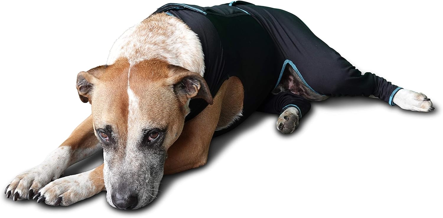 BENEFAB Traje terapéutico cómodo para perros, chaqueta ligera de infrarrojos lejanos para caninos de todas las edades, traje de compresión relajante