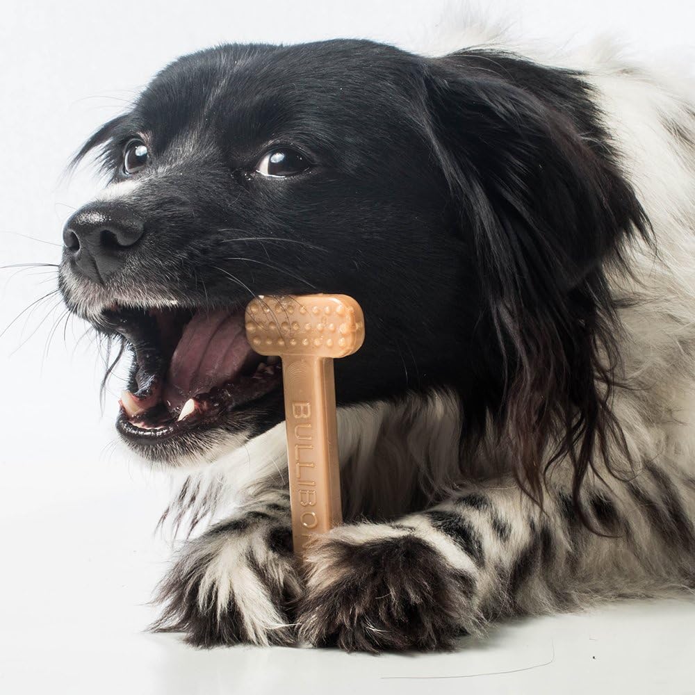 Bullibone Hueso de juguete de nailon para masticar para perros, mejora la higiene dental, parte inferior fácil de agarrar e impregnado de sabor