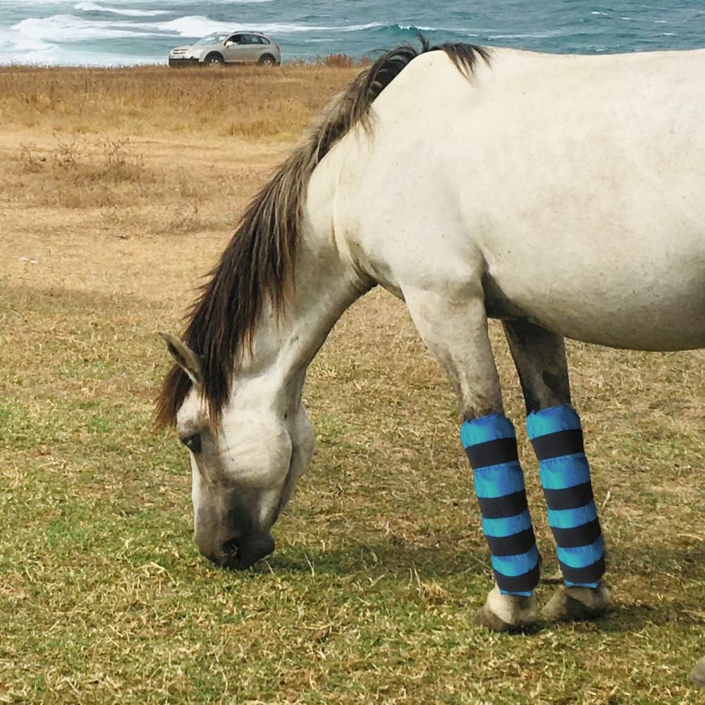 Botas de hielo para caballo, envolturas de refrigeración para lesiones de caballos, paquete frío reutilizable para patas de caballo con correas
