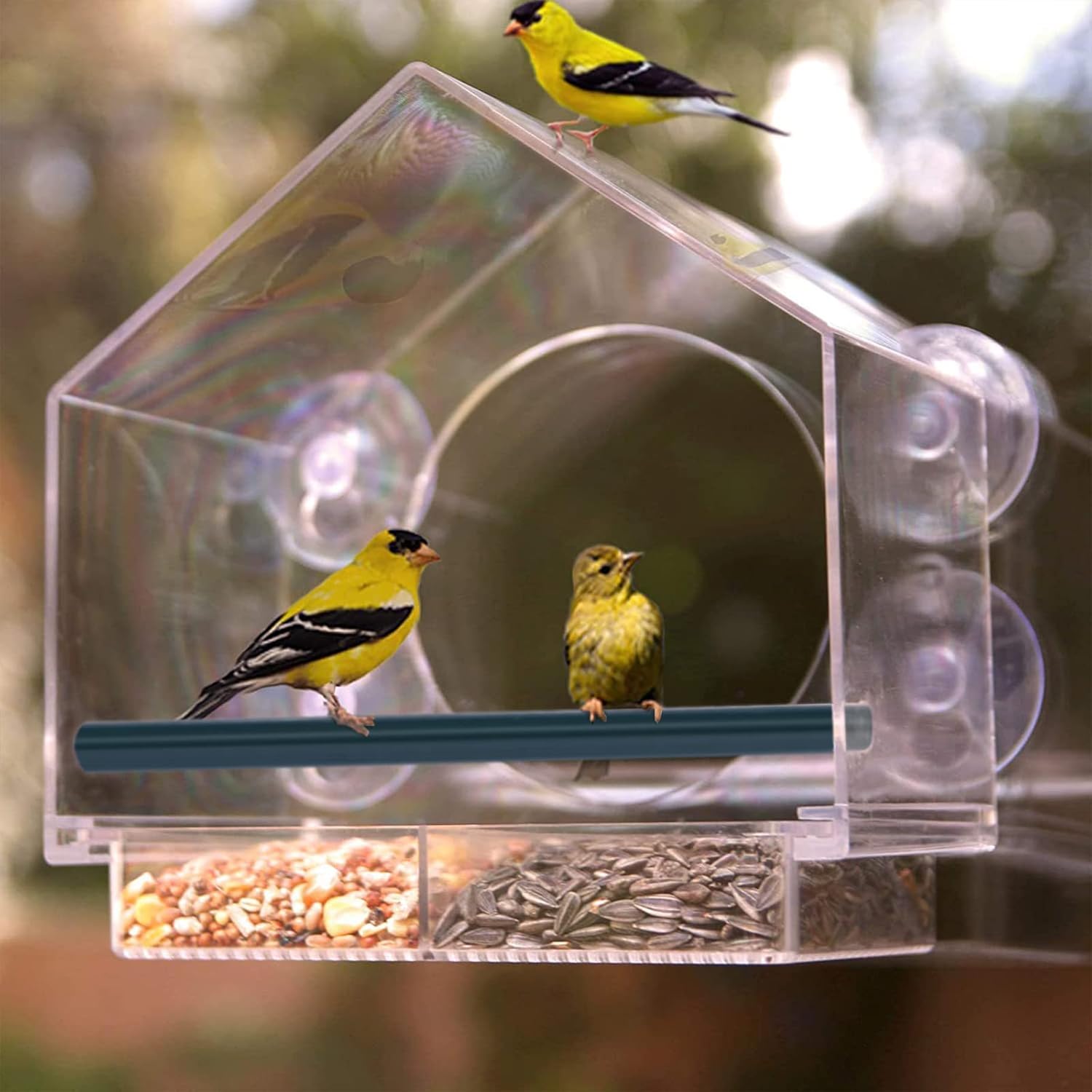 Comederos para pájaros de ventana, comederos de plástico transparente con 4 ventosas fuertes, bandeja deslizante y agujeros de drenaje para