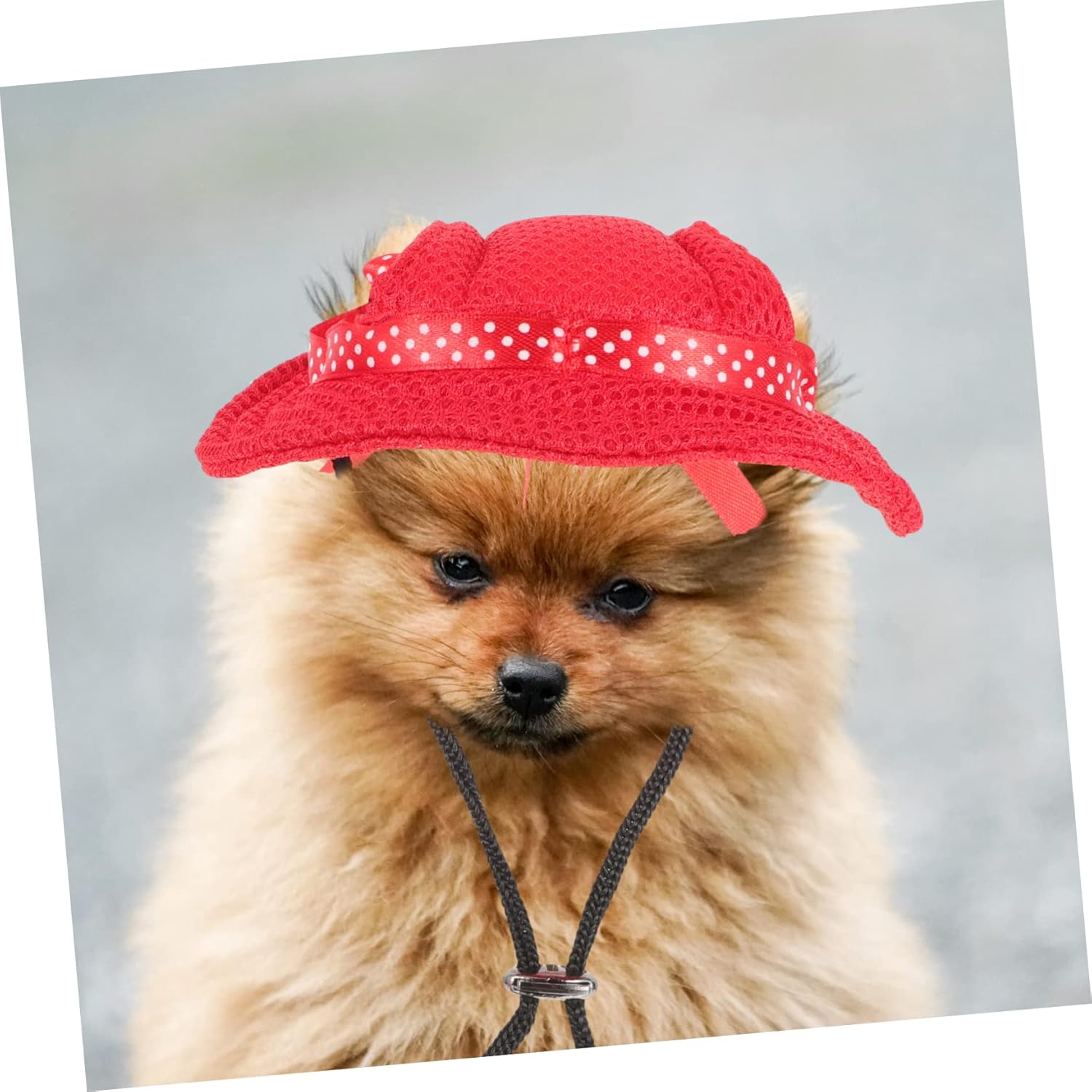 MERRYHAPY 3 piezas de sombrero de princesa para mascotas, gorras de béisbol para perros, sombrero encantador para perro, traje de baño para perro,