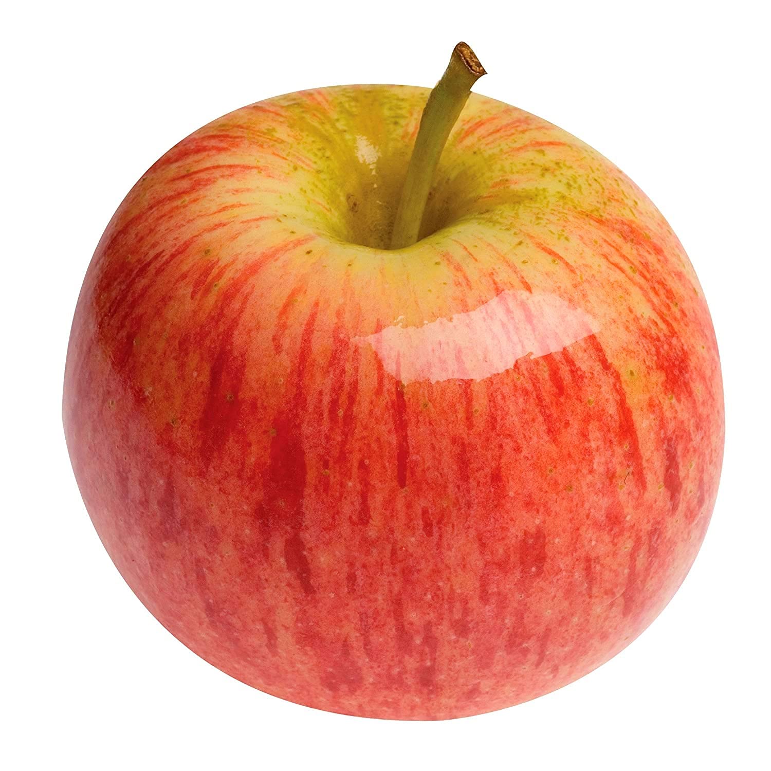 Kejora Manzana fresca Gala 3 LB