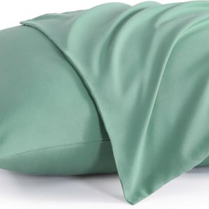 NTBAY Juego de 2 fundas de almohada Queen de microfibra cepillada de 20 x 30 pulgadas, suaves, resistentes a las arrugas, a la decoloración, a las NTBAY Juego de 2 fundas de almohada Queen de microfibra cepillada de 20 x 30 pulgadas, suaves, resistentes a las arrugas, a la decoloración, a las