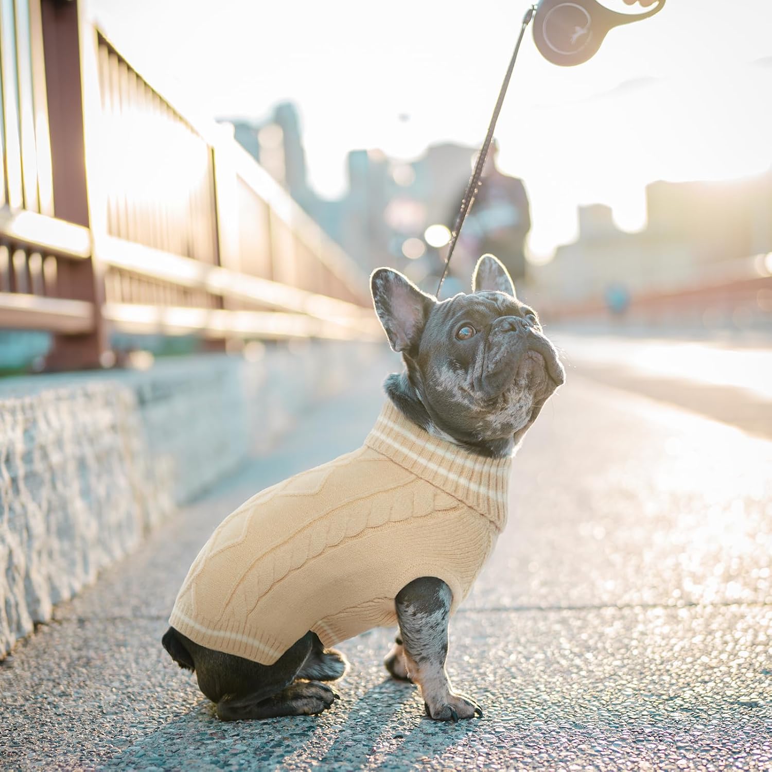 ROZKITCH Suéter pequeño para perro, suéter de punto para clima frío para otoño e invierno, suéter de cuello alto para perro, ropa clásica gruesa y