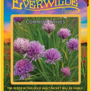 Everwilde Farms – 1000 semillas de hierbas de cebollino – Paquete de semillas jumbo Gold Vault Everwilde Farms – 1000 semillas de hierbas de cebollino – Paquete de semillas jumbo Gold Vault