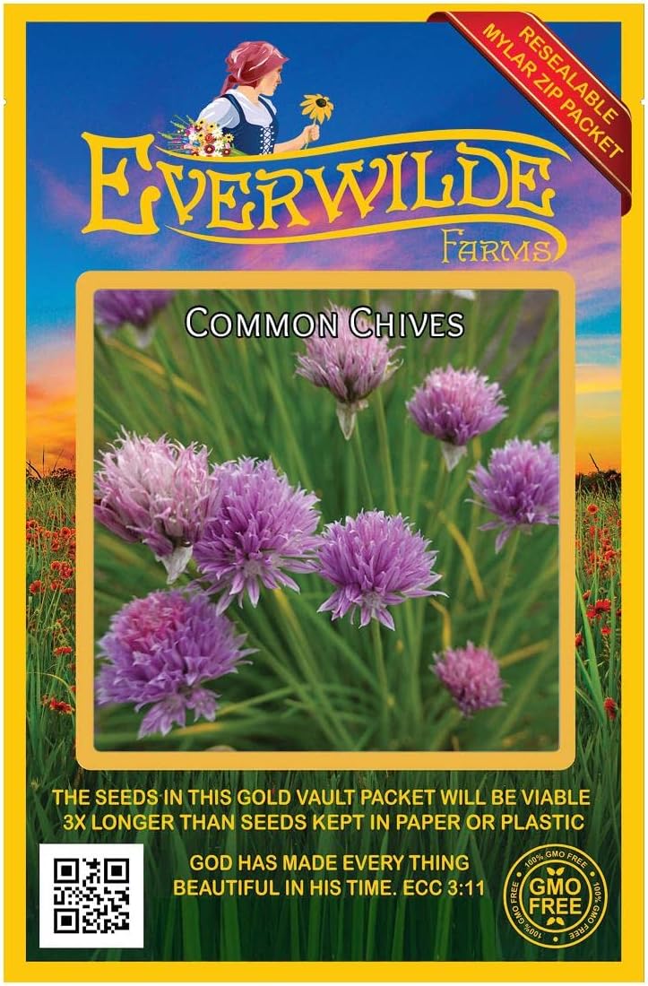 Everwilde Farms – 1000 semillas de hierbas de cebollino – Paquete de semillas jumbo Gold Vault