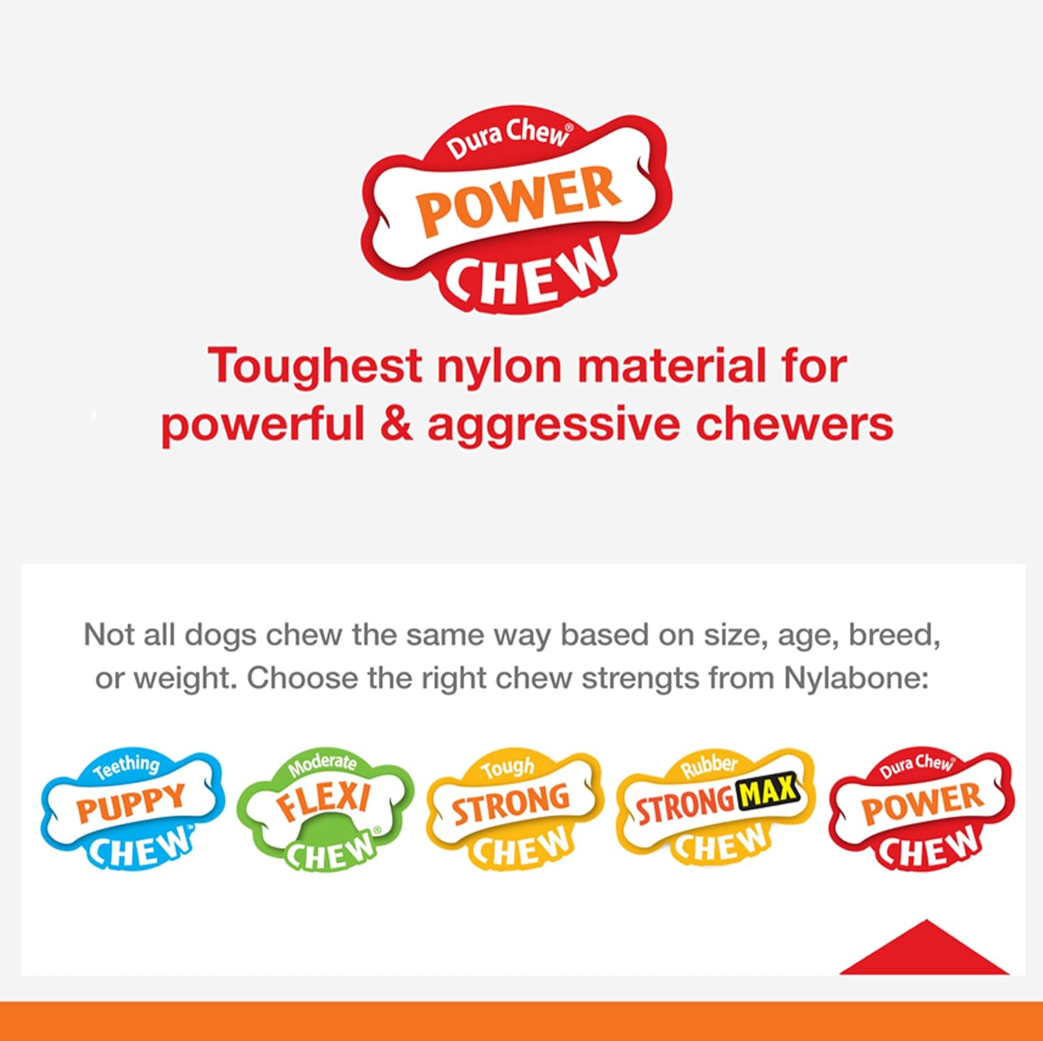 Nylabone Flavor Frenzy Power Chew – Juguete masticable para perros sabor carne seca, tamaño pequeñoregular, 1pieza
