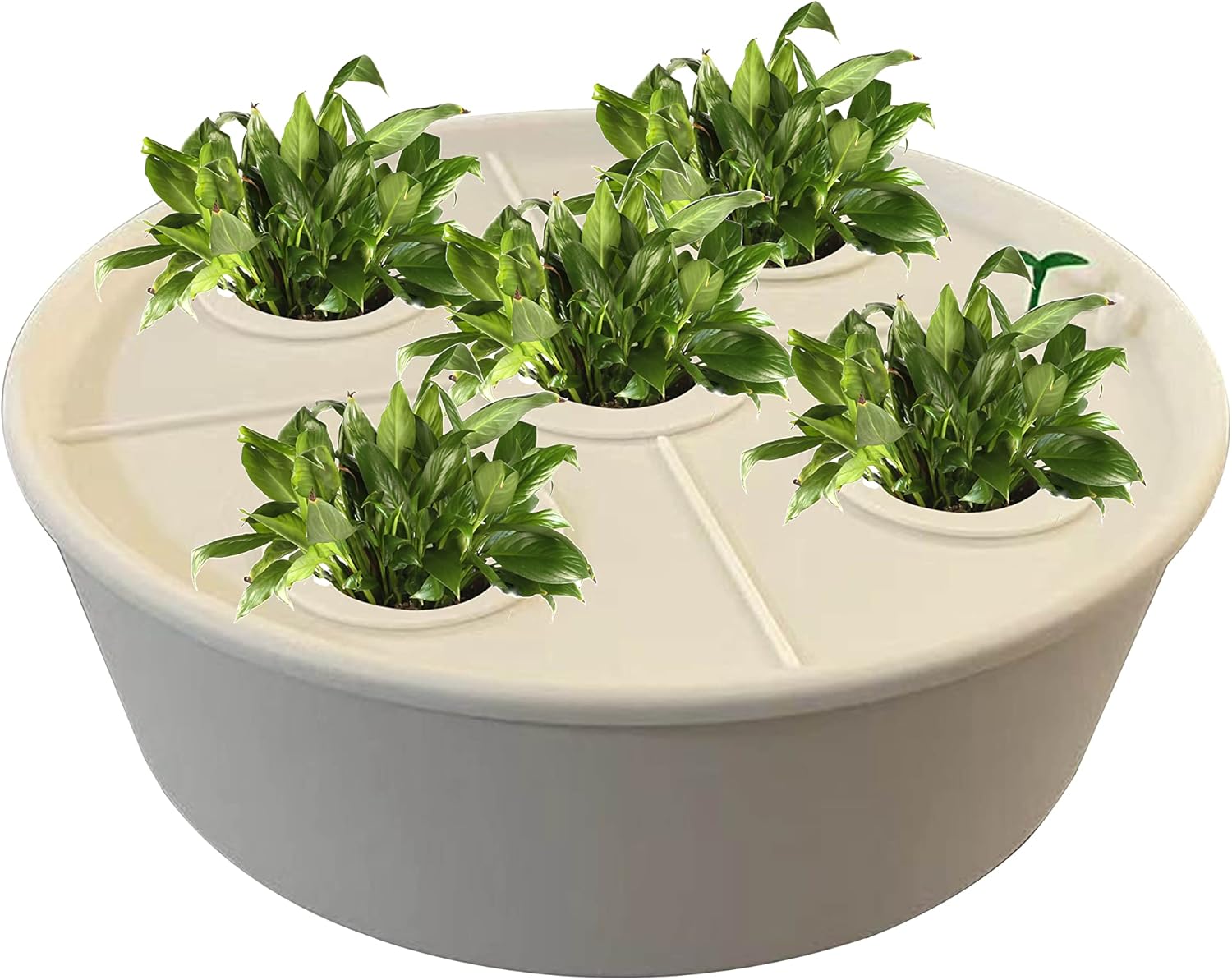 LYLEE Sistema de riego automático para plantas en maceta, paquete de 4 unidades, succión automática redonda blanca con sensor de humedad, maceta