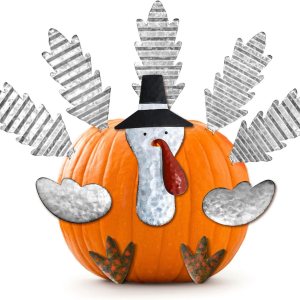 ALLADINBOX Kit de fabricación de pavo de calabaza de Acción de Gracias, kit de decoración de pavo, decoración de otoño y cosecha para Acción de ALLADINBOX Kit de fabricación de pavo de calabaza de Acción de Gracias, kit de decoración de pavo, decoración de otoño y cosecha para Acción de