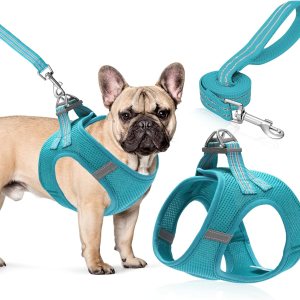 Juego de arnés y correa para perro, arnés de chaleco para perro para gatos y cachorros, arnés reflectante para mascotas sin tirones para perros Juego de arnés y correa para perro, arnés de chaleco para perro para gatos y cachorros, arnés reflectante para mascotas sin tirones para perros
