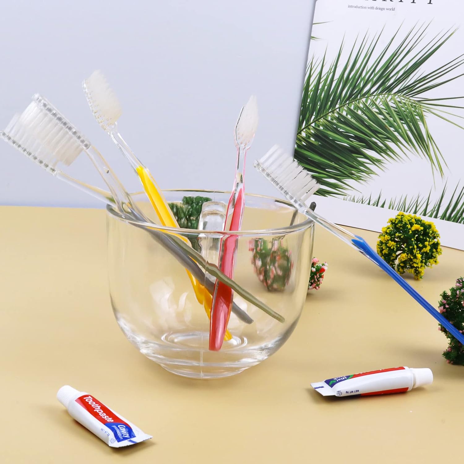 Cepillos de dientes desechables con pasta de dientes (5 colores) (500)