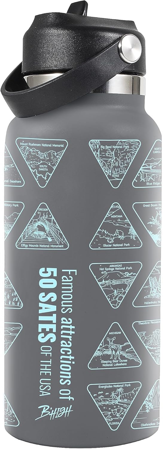 Vaso aislado al vacío de acero inoxidable con tapa y popote para agua, té helado o café, licuado de frutas y más, nueva versión (gris)