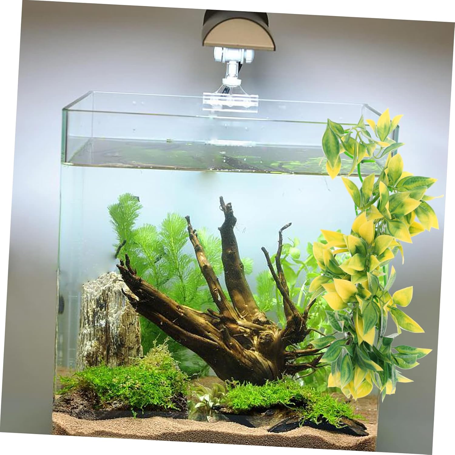 4 unids reptil ratán paisajismo artificial acuario plantas acuario plantas subacuáticas escalada terrario planta reptisoil plantas artificiales