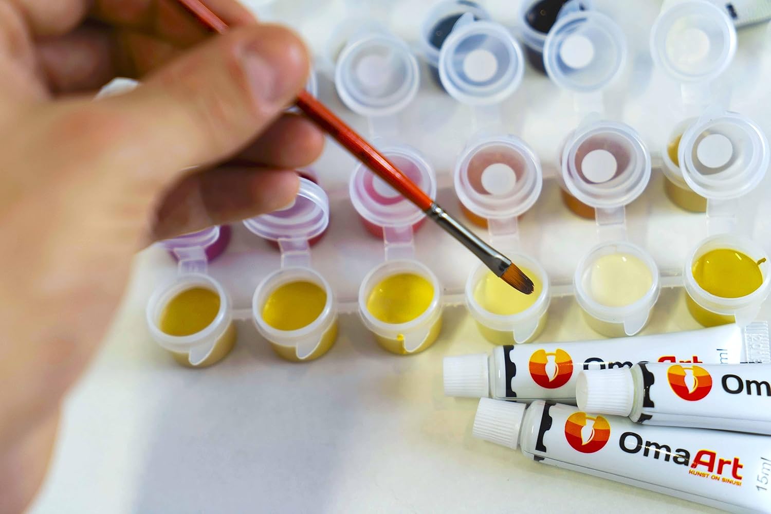 Omaart Kit de pintura por números para principiantes, lienzo enmarcado, diseño de gato de fantasía, incluye lienzo enmarcado y estirado preimpreso,