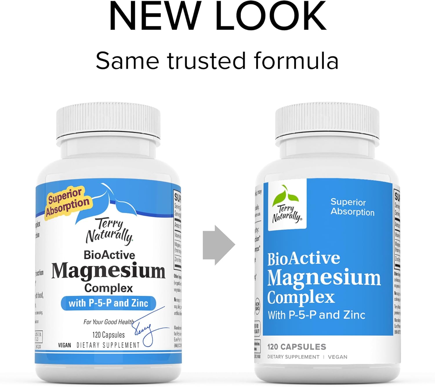 Terry Naturally Complejo de magnesio BioActive – 120 cápsulas, paquete de 2 – con vitamina B6 y zinc – Sin OMG, vegano, sin gluten, Kosher – 240