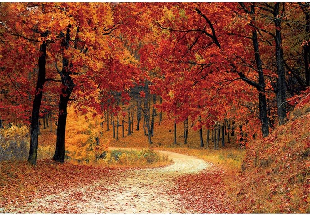 Leyiyi Telón de fondo de bosque de otoño de 5 x 3 pies, árboles de arce rojo, camino de montaña, paisaje caducifolio, Acción de Gracias, fotografía,