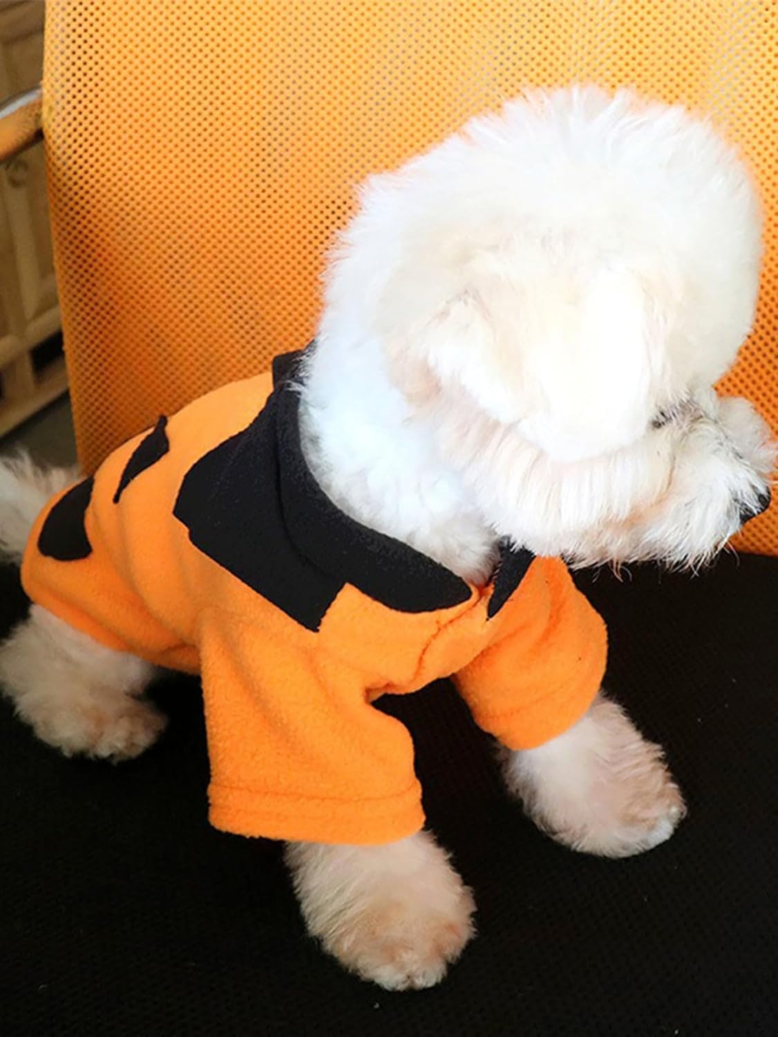 QWINEE Abrigo para perro con estampado de calabaza, sudadera con capucha cálida y suave para invierno, ropa para cachorros para gatos, perros