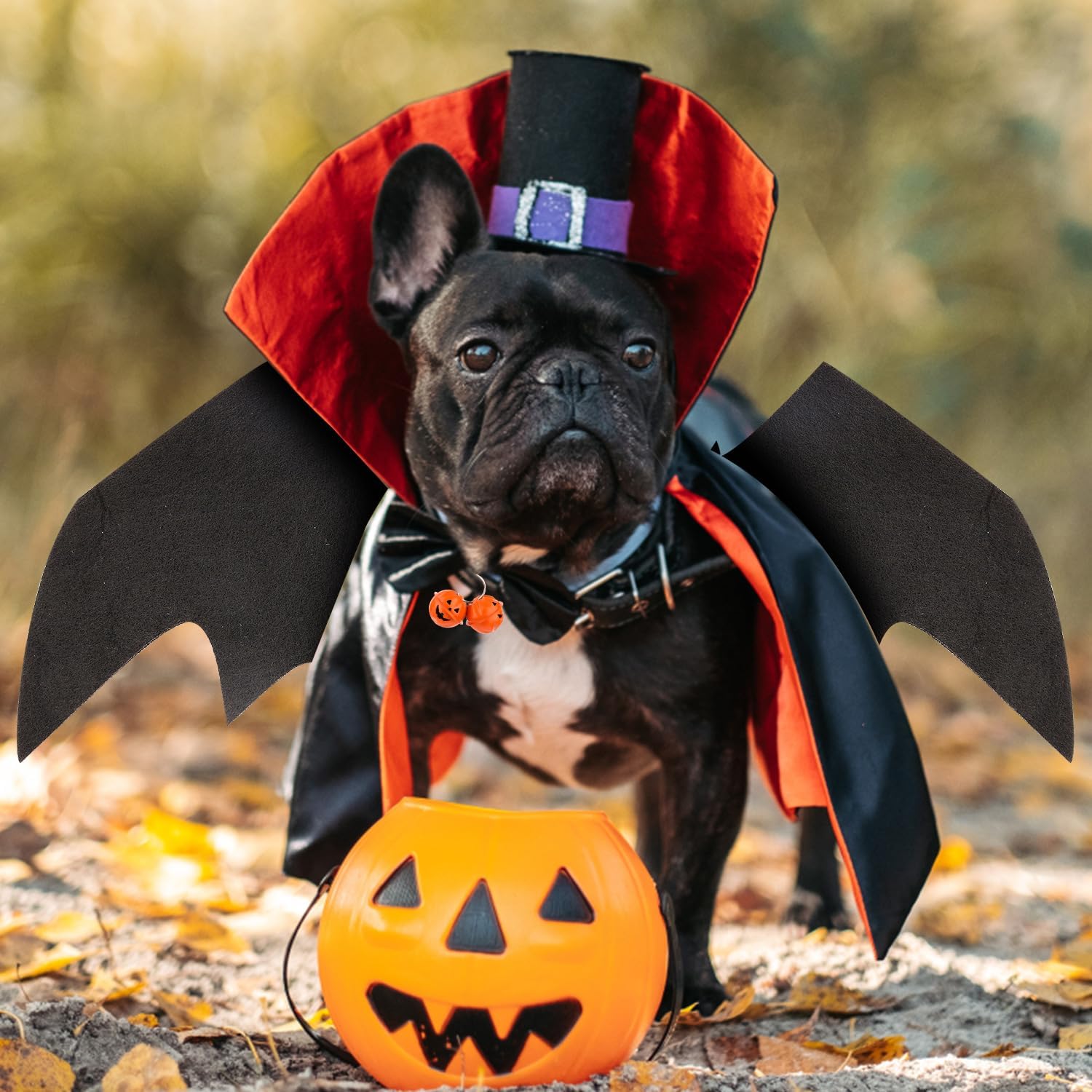 Alas de murciélago para perro de Halloween, lindo disfraz de perro, alas de murciélago para Halloween, collar de perro, alas de murciélago con