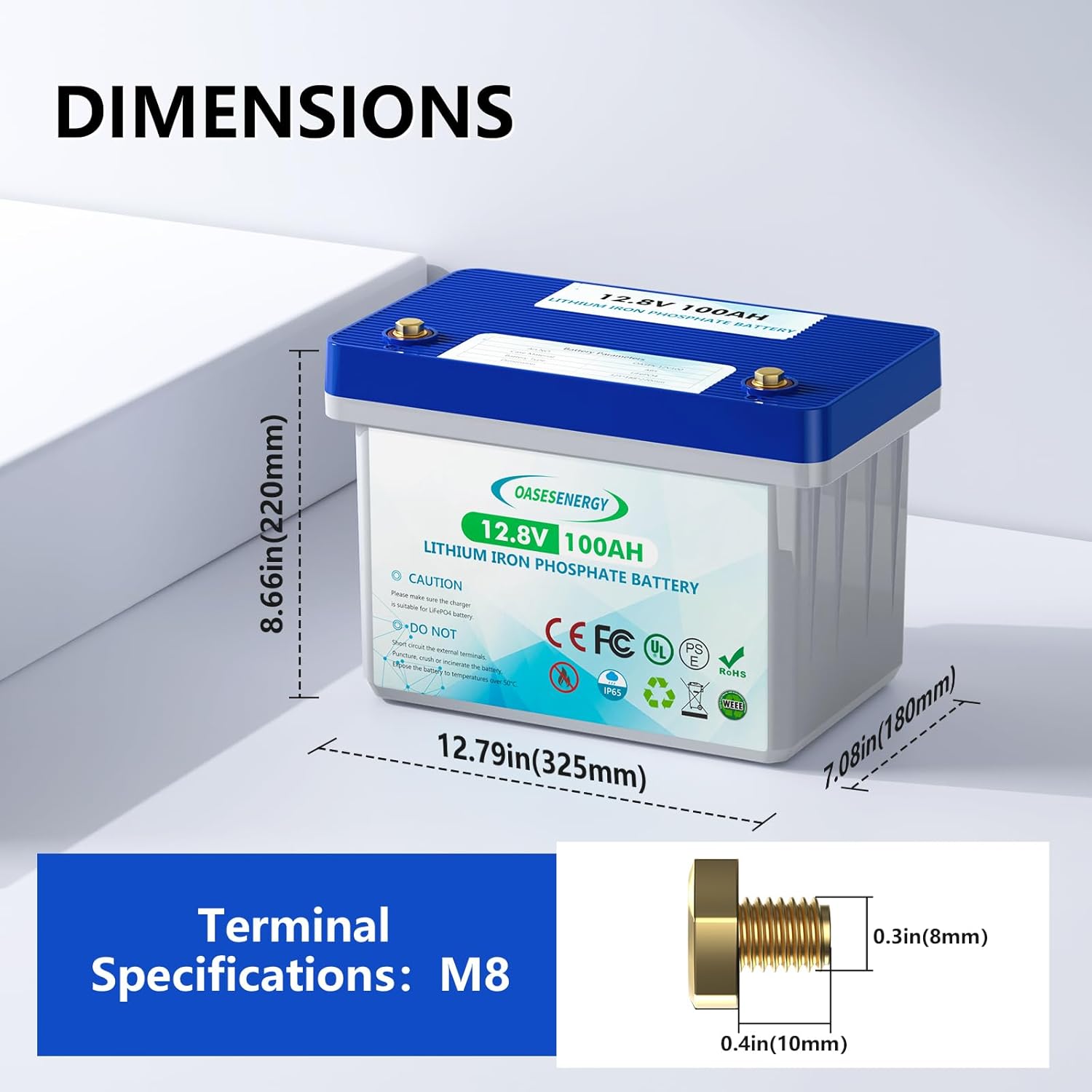Oasesenergy Batería LiFePO4 de 12 V 100 Ah, batería de litio de ciclo profundo integrada 100 A BMS, hasta 15000 ciclos, perfecta para viajes en RV,