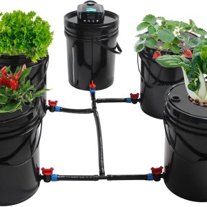 DWC Hydroponic System 5 Kit de cubo hidropónico, sistema de cultivo hidropónico DWC, cultivo de agua profunda de 5 galones con bomba de aire de 12 W DWC Hydroponic System 5 Kit de cubo hidropónico, sistema de cultivo hidropónico DWC, cultivo de agua profunda de 5 galones con bomba de aire de 12 W